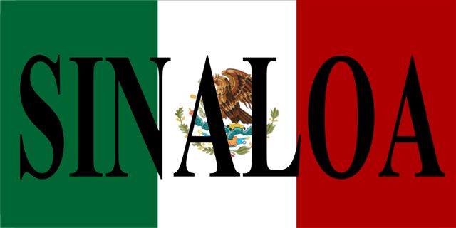 Mexico Sinaloa Photo LICENSE PLATE Free Personalization on this PLATE