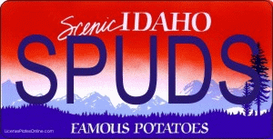 Design It Yourself Custom Idaho State Look-Alike Plate