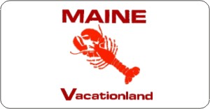 Design it Yourself Maine State Look-Alike Bicycle Plate