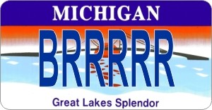 Design It Yourself Michigan State Look-Alike Bicycle Plate