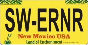 Design It Yourself Custom New Mexico State Look-Alike Plate
