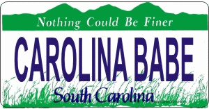 Design It Yourself Custom S. Carolina State Look-Alike Plate #3