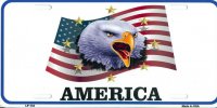 America (Eagle) License Plate