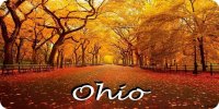 Ohio Fall Scene Photo License Plate
