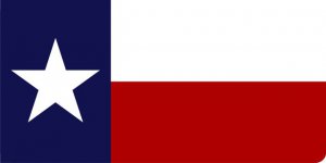Texas Flag Photo License Plate