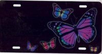 Butterflies on Black Airbrush License Plate