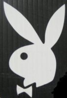 Playboy Logo White 4" x 4" Decal