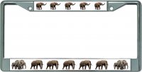 Nothing But Elephants Chrome License Plate Frame