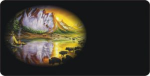 Offset Buffalo Bison Reflections Photo License Plate