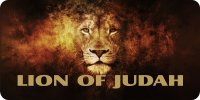 Lion Of Judah Photo License Plate