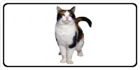 Calico Cat Photo License Plate