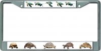 Tortoises And Sea Turtles Chrome License Plate Frame