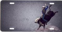 Concrete Bull Rider Airbrush License Plate