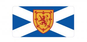 Scotland St. Andrews Cross Flag Photo License Plate