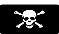 Skull And Crossbones Photo License Plate