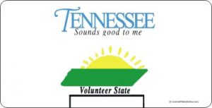 Design It Yourself Custom Tennessee State Look-Alike Plate #3