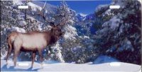 Winter Elk with Mountains License Plate