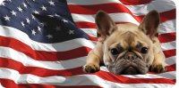 French Bulldog On U.S. Flag Photo License Plate