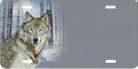 Wolf in Snow Offset on Gray Airbrush License Plate