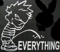 Calvin on Everything 4" x 4" Decal