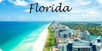Florida Beach Resort Scene Photo License Plate