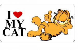 Garfield-I Heart My Cat Photo License Plate
