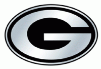 Green Bay Packers NFL Auto Emblem