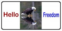 Hello Freedom With Eagle Photo License Plate