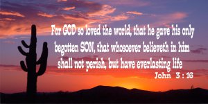 John 3:16 Desert Sunset Photo License Plate