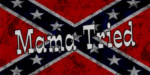 Mama Tried On Confederate Rebel Flag Photo License Plate