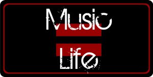 Music Equals Life Photo License Plate