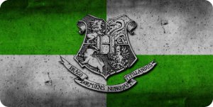 Harry Potter Slytherin Photo License Plate