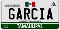 Mexico Tamaulipas Photo License Plate