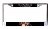 Rottweiler Face Chrome License Plate Frame