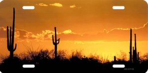 Sunset Saguaro Cactus Photo License Plate
