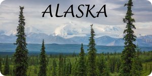 Alaska Mountain Scene Photo License Plate