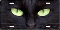 Cat Eyes (Green) Airbrush License Plate