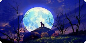 Wolf Howling With Moon #2 Photo License Plate