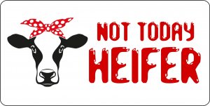 Not Today Heifer Photo License Plate