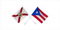 Puerto Rico / Florida Crossed Flags Photo License Plate