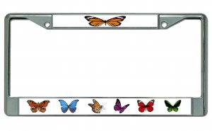 Butterflies Photo License Plate Frame