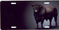 Bull on Black Offset License Plate