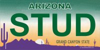 Arizona STUD Photo License Plate