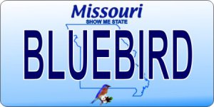 Design It Yourself Missouri State Look-Alike Bicycle Plate #3