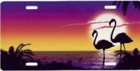 Flamingo Beach License Plate