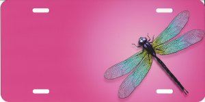 Offset Dragonfly On Pink Metal License Plate