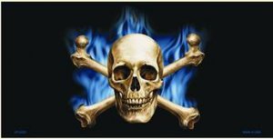 Blue Flame Skull and Crossbones Metal License Plate