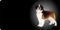 Saint Bernard Dog Photo License Plate