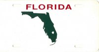 Design It Yourself Custom Florida State Look-Alike Plate #5