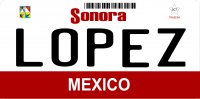 Mexico Sonora Photo License Plate